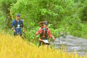 BIB: 
                            <button type="button" onclick="openModal(13456525)" class="btn btn-primary btn-sm float-right btn-popup" data-toggle="modal" data-target=".modal-high-quality">
                        <i class="fas fa-shopping-cart"></i> Add to Cart
                    </button>
                                            <button type="button" onclick="isThisMe(13456525, true)" class="btn btn-success btn-sm float-right btn-popup btn-isme hidden" data-toggle="tooltip" data-placement="bottom" title="นี่คือรูปของคุณใช่ไหม คลิกที่นี่เพื่อเอาเข้าอัลบั้ม">
                        <i class="fas fa-plus"></i> Add to album
                    </button>
                    <button type="button" onclick="isThisMe(13456525, false)" class="btn btn-warning btn-sm float-right btn-popup btn-isnotme hidden">
                        <i class="fas fa-ban"></i> Remove from album
                    </button>